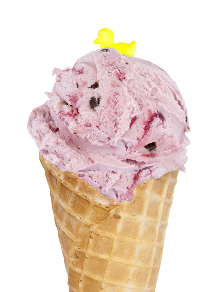 Berry Berry Chip ice cream